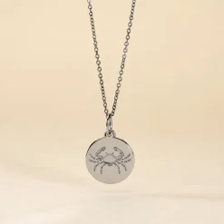 Pendentif Zodiaque Rond Argent Blanc