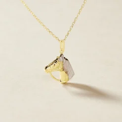 Pendentif Hillel Cheval Or Bicolore