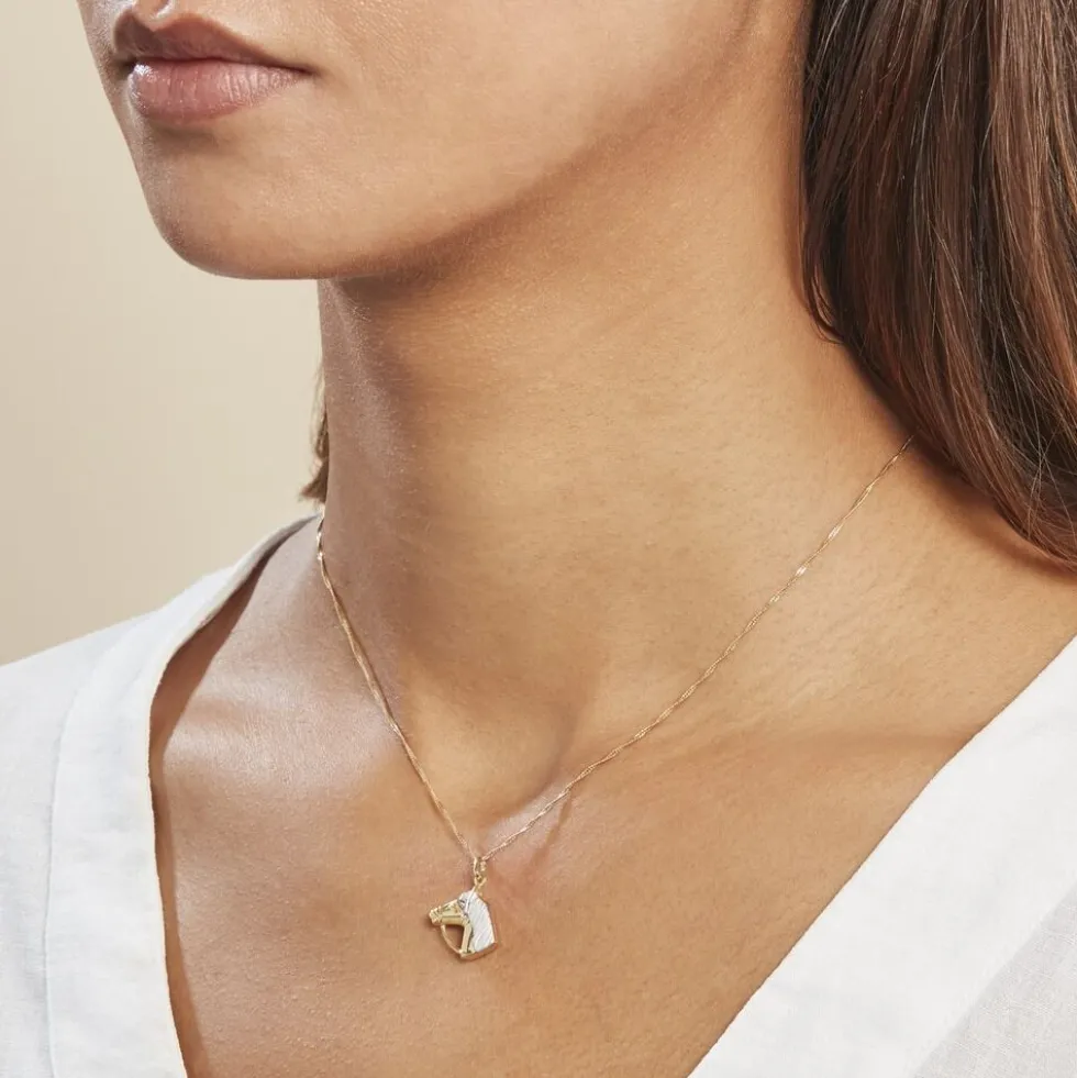 Pendentif Hillel Cheval Or Bicolore