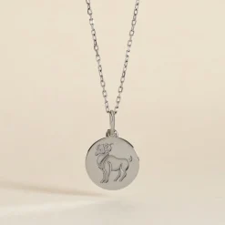 Pendentif Zodiaque Rond Argent Blanc