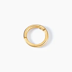 Piercing D'oreille Unitaire Aloes Or Jaune